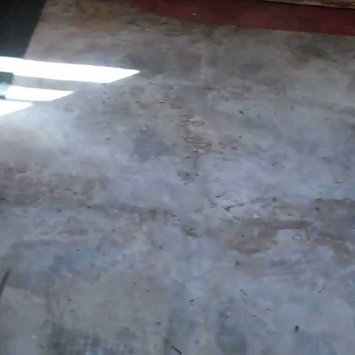 My Latest Property Renovation Project – 1